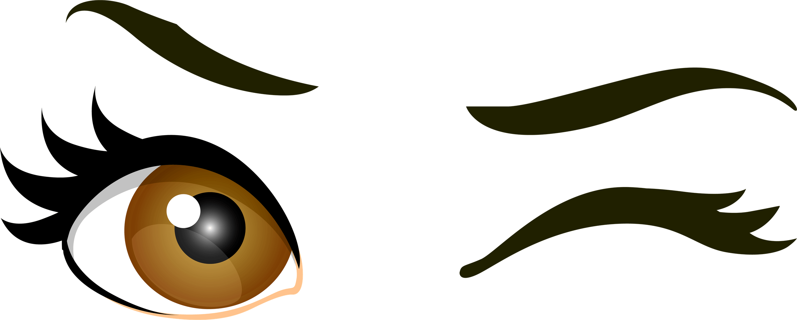 Brown Eyes PNG