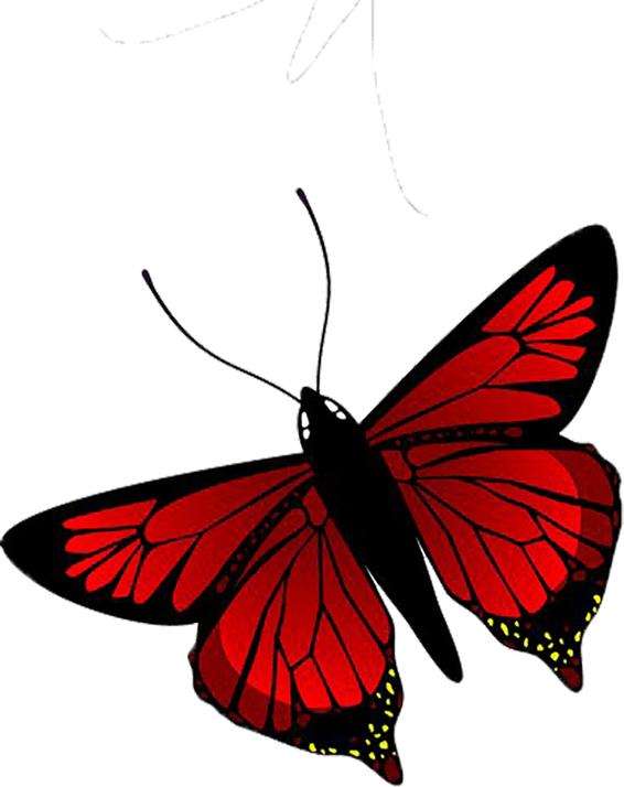 Red Butterfly PNG