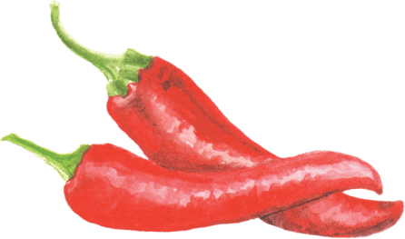 Red Pepper PNG