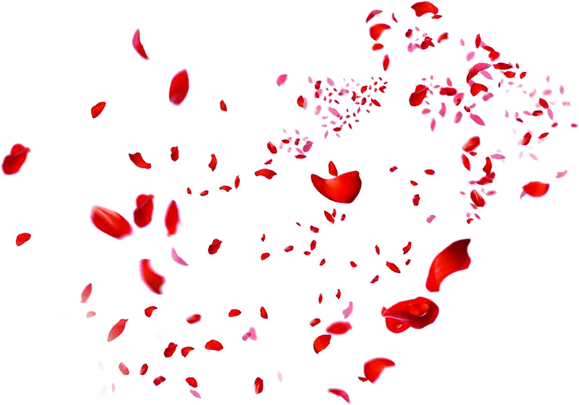 Rose Petals PNG