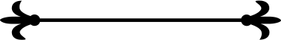 Fancy Line PNG