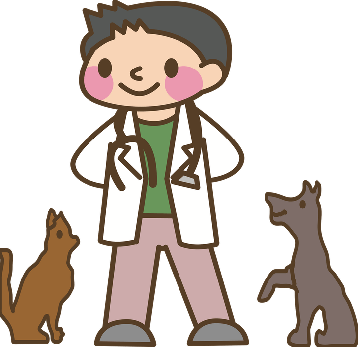 Veterinarian PNG