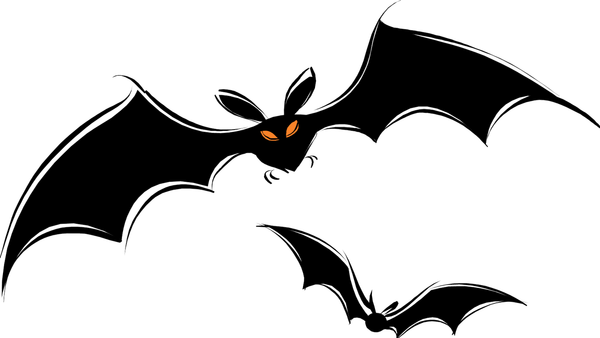 Bat Drawing PNG