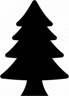 Conifer Tree PNG