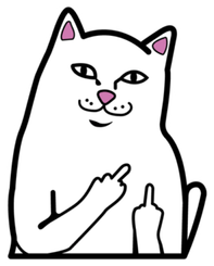 Funny Cat PNG