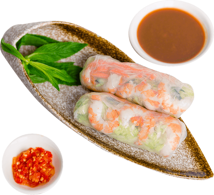 Spring Roll PNG