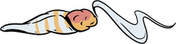 Cartoon Joint PNG