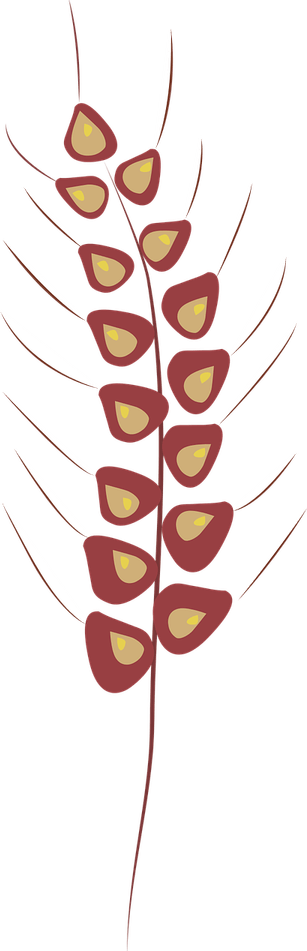 Stalk PNG