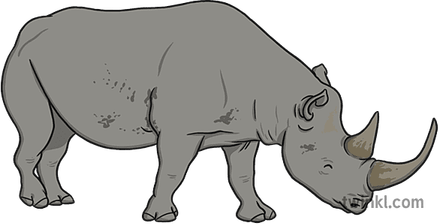 Black Rhinoceros PNG