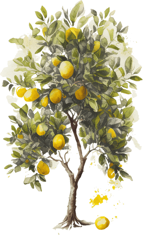 Lemon Tree PNG