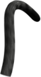 Cat Tail PNG