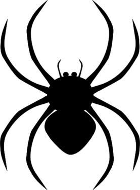Spider PNG