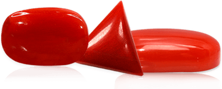 Red Coral PNG