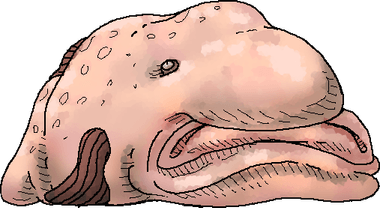 Blob Fish PNG