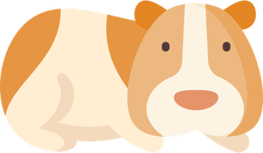 Guinea Pig PNG