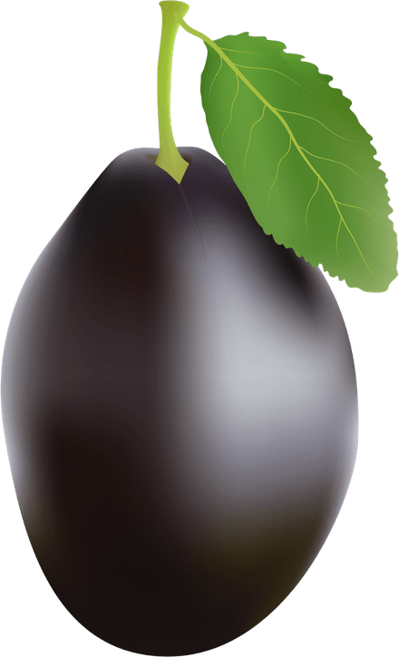 Java Plum PNG
