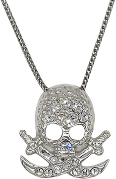 Silver Skull PNG
