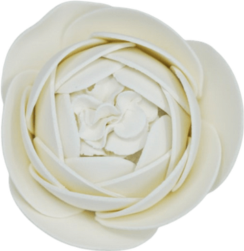 England Rose PNG
