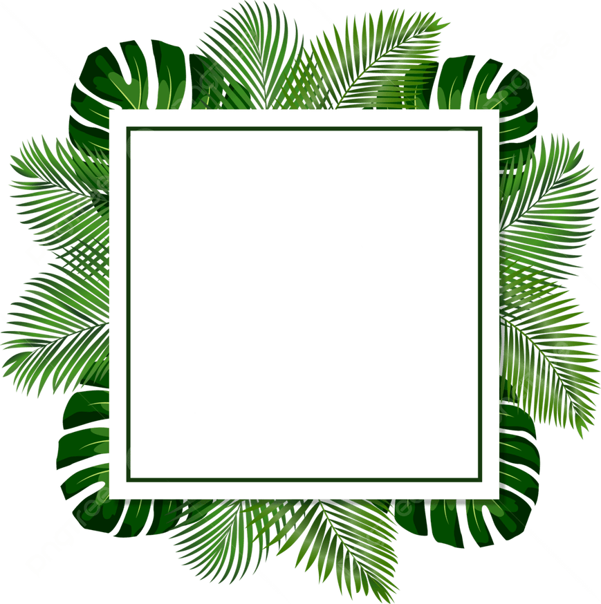 Leaves Border PNG