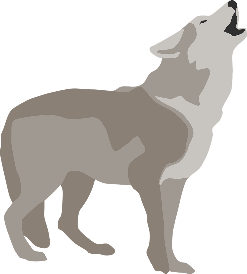 Howling Dog PNG