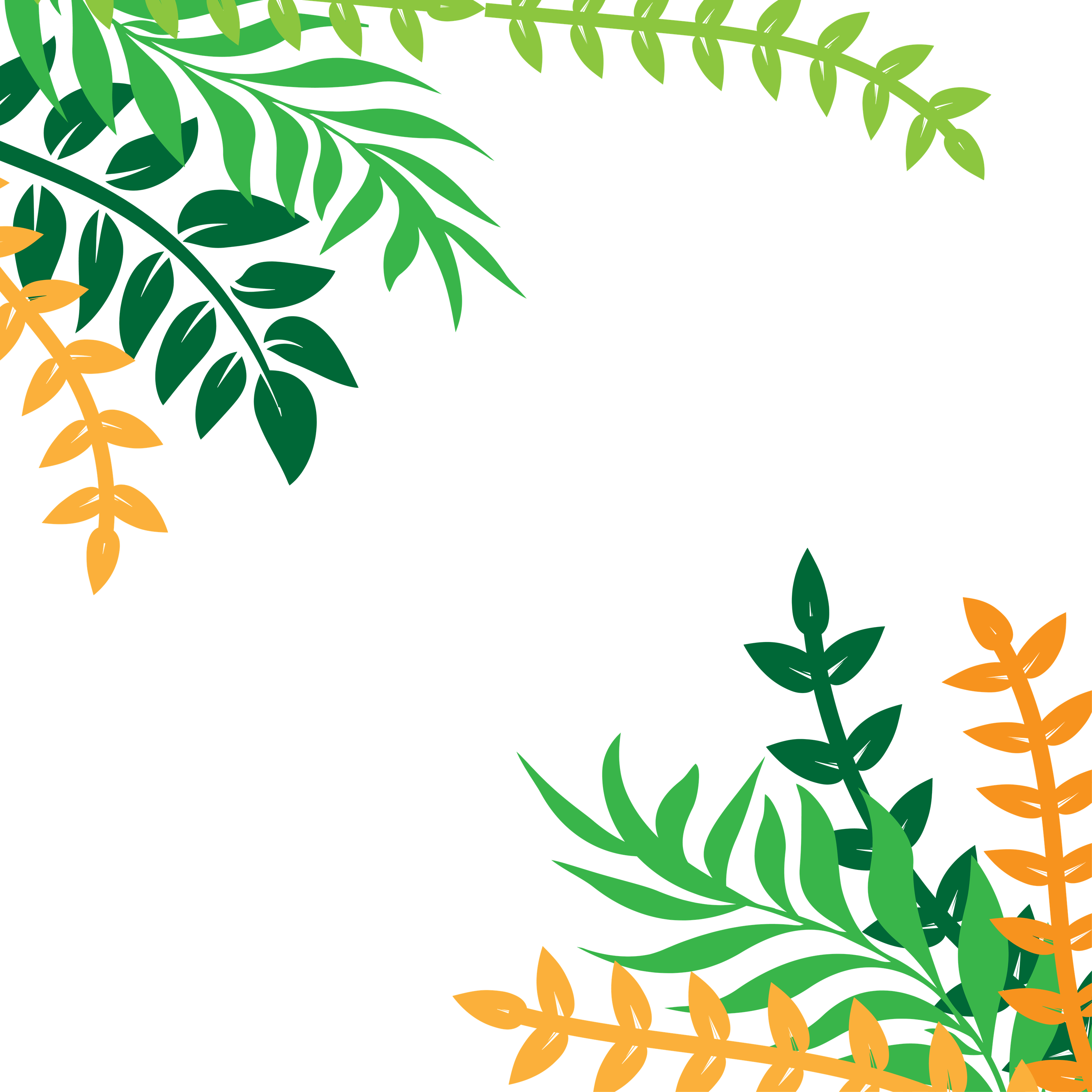 Leaves Frame PNG