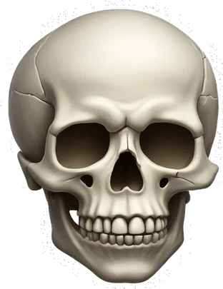 Spinning Skull PNG
