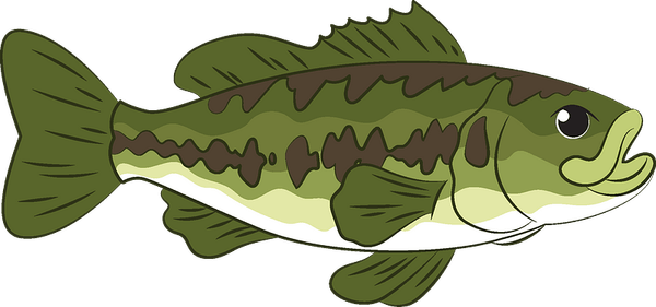 Bass Fish PNG