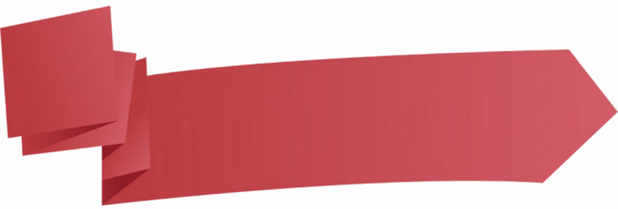 Vector Blank Label PNG