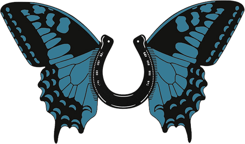 Butterfly Bw PNG