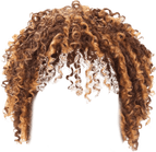 Curly Hair PNG