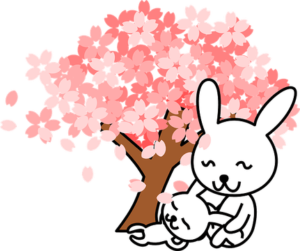 Cherry Blossom PNG