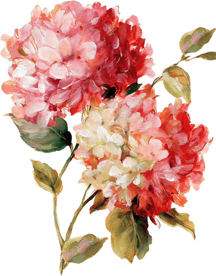 Painting Flower PNG