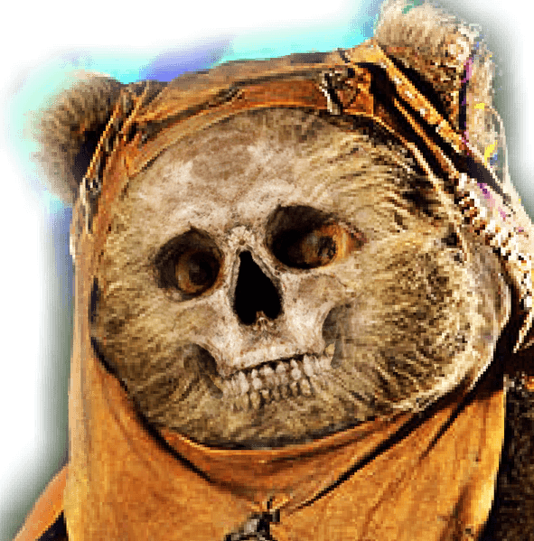 Ewok PNG