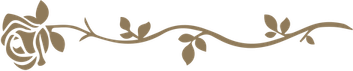 Flower Divider PNG