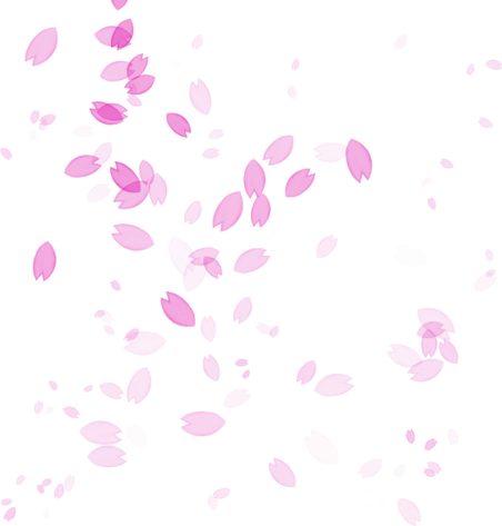 Petals PNG