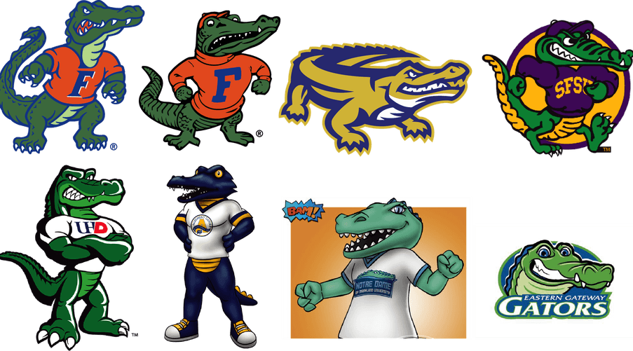 Florida Gator PNG