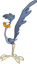 Roadrunner PNG