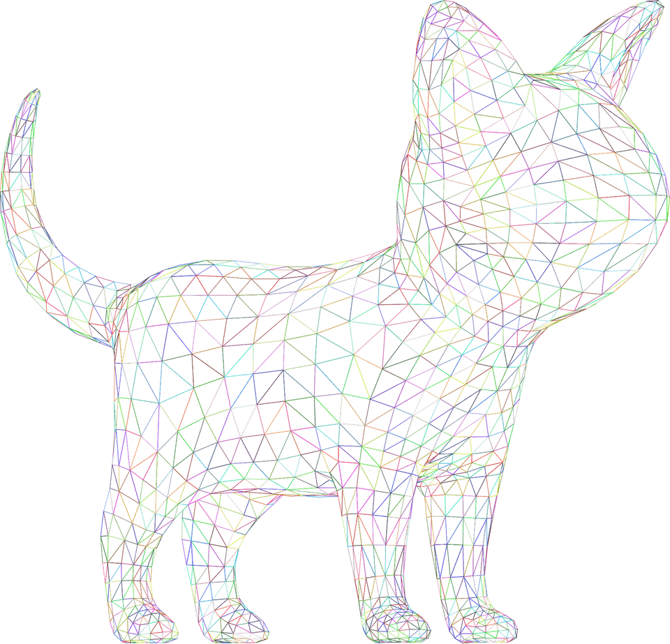Geometric Cat PNG
