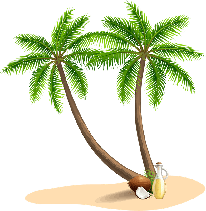Kerala Tree PNG
