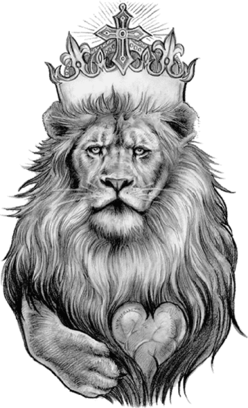 Lion Drawing PNG