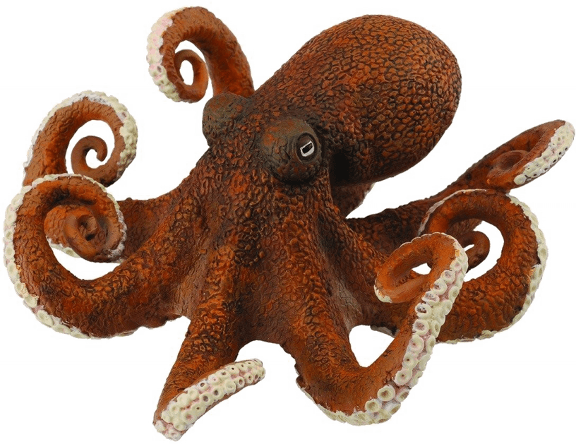 Octopuse PNG