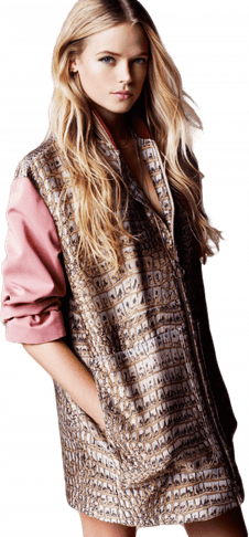 Gabriella Wilde PNG