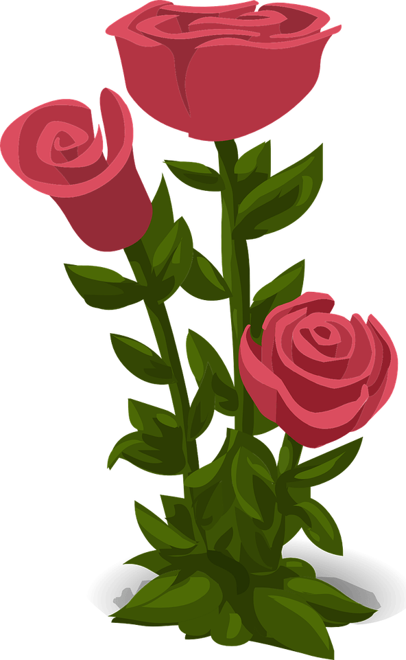 Green And Pink Flower PNG