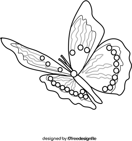 Black And White Butterfly PNG