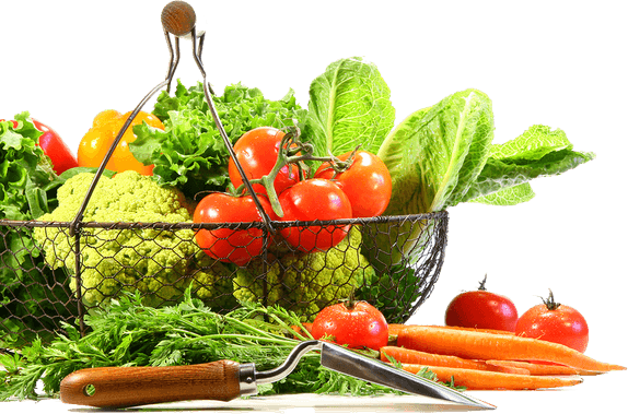 Vegetables PNG