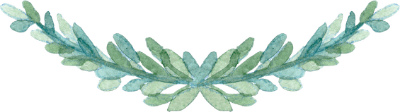 Watercolor Clover PNG
