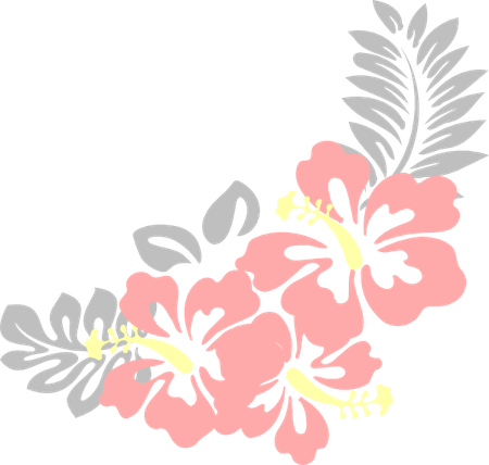 Hawaiian Border PNG