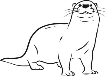 Otters PNG