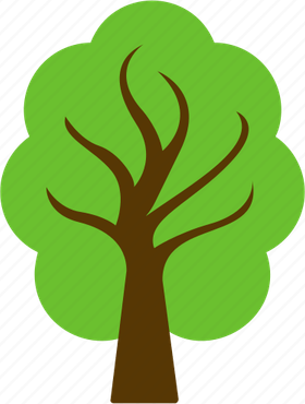 American Elm Tree PNG