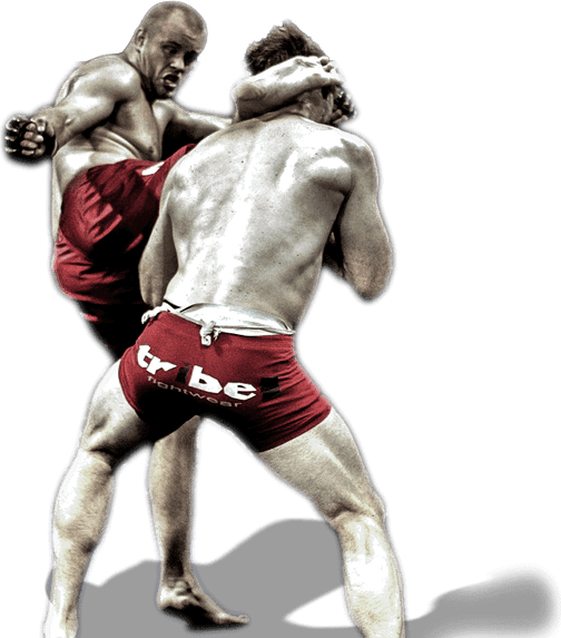 Mixed Martial Artist PNG